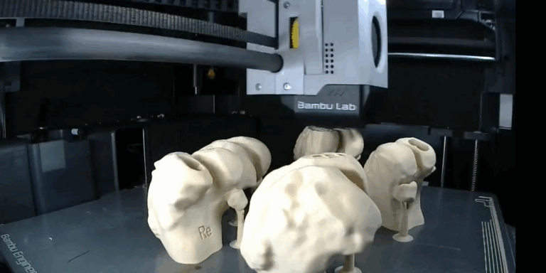 FDM Druck von Knochenmodellen